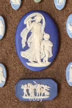 Fourteen Framed Wedgwood Jasperware Cameos
