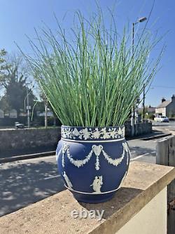 Large Antique 19th C Wedgwood Cobalt Blue Jasperware Jardiniere Plant Pot Af