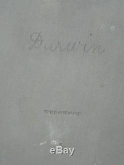 RARE FRAMED ANTIQUE 18 c. WEDGWOOD JASPERWARE ERASMUS DARWIN PORTRAIT MEDALLION