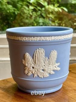 Rare Wedgwood Jasperware Kew Gardens Plants Sir Joseph Banks Planter Cache Pot Rare Wedgwood Jasperware Kew Gardens Plants Sir Joseph Banks Planter Cache Pot