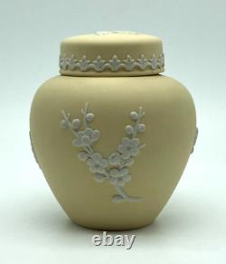 VTG Wedgwood Yellow Jasper Ware Primrose Ginger Jar with Lid Prunus Blossom 4