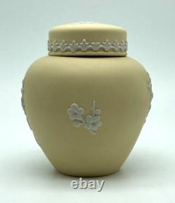 VTG Wedgwood Yellow Jasper Ware Primrose Ginger Jar with Lid Prunus Blossom 4