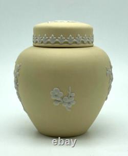 VTG Wedgwood Yellow Jasper Ware Primrose Ginger Jar with Lid Prunus Blossom 4