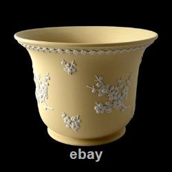 WEDGWOOD Jasperware Handcrafted Primrose Yellow Jardiniere Planter'76