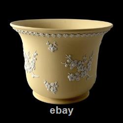 WEDGWOOD Jasperware Handcrafted Primrose Yellow Jardiniere Planter'76