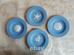 Wedgwood Blue Jasperware Scallop, Seahorse, Sand Dollar & Starfish Plates
