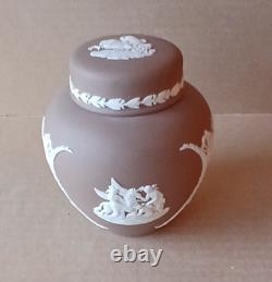 Wedgwood DARK TAUPE BROWN Jasperware Small Lidded GINGER JAR Boxed SIGNED RARE