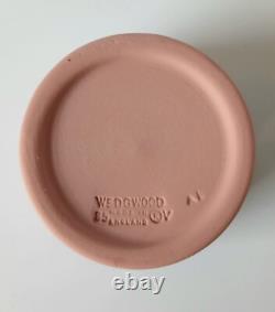 Wedgwood Jasper Pink Pill Box Muses Watering Pegasus Jasperware