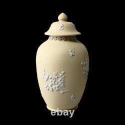 Wedgwood Jasperware Handcrafted Primrose Yellow Feat. Prunus Jar Vase Urn, 17cm