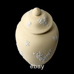 Wedgwood Jasperware Handcrafted Primrose Yellow Feat. Prunus Jar Vase Urn, 17cm