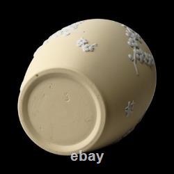Wedgwood Jasperware Handcrafted Primrose Yellow Feat. Prunus Jar Vase Urn, 17cm