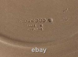Wedgwood Jasperware Plate Seashells Dark Taupe / Brown