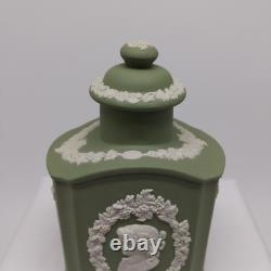Wedgwood Jasperware Sage Green & White Neo-Classical Relief Pattern Tea Caddy 6