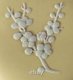 Wedgwood Jasperware Trinket Box Primrose Prunus