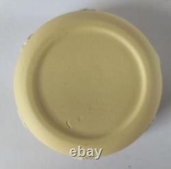 Wedgwood Jasperware Trinket Box Primrose Prunus