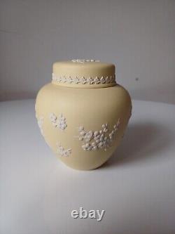 Wedgwood Jasperware Yellow Primrose Large Ginger Jar