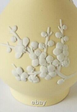 Wedgwood Primrose Jasperware Bud Vase Prunus Boxed