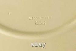 Wedgwood Primrose Jasperware Plate Prunus