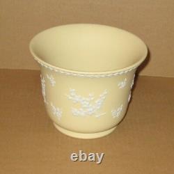 Wedgwood YELLOW Jasperware 1978 PRUNUS POT Wedgwood YELLOW Jasperware 1978 PRUNUS POT