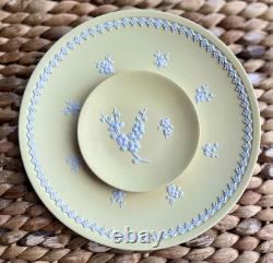 Wedgwood / Yellow Primrose / Jasper Ware Prunus / 8' Large Plate + Trinket