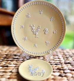 Wedgwood / Yellow Primrose / Jasper Ware Prunus / 8' Large Plate + Trinket