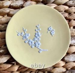 Wedgwood / Yellow Primrose / Jasper Ware Prunus / 8' Large Plate + Trinket