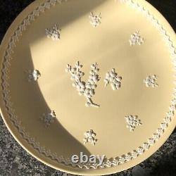 Wedgwood Yellow Primrose Jasper ware Prunus 8' Large Plate