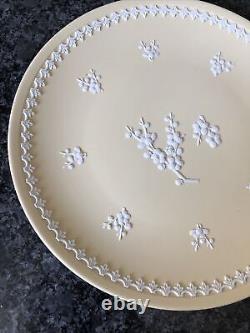 Wedgwood Yellow Primrose Jasper ware Prunus 8' Large Plate