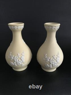 2 vases Bud Wedgwood en jaspe jaune, motif primevère, en excellent état