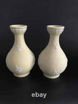 2 vases Bud Wedgwood en jaspe jaune, motif primevère, en excellent état