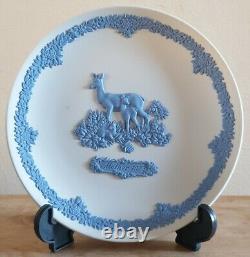 6x Wedgwood Jasperware Bleu sur Blanc