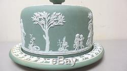 Antique Wedgwood Jasperware Grand Sage Green Cheese Dome & 11 Base Excellent
