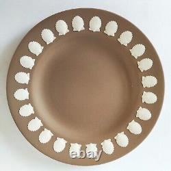 Assiette en jaspe Wedgwood coquillages taupe foncé / brun