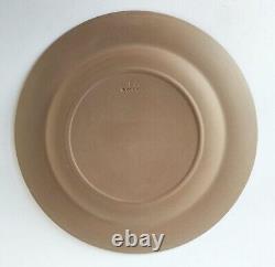 Assiette en jaspe Wedgwood coquillages taupe foncé / brun