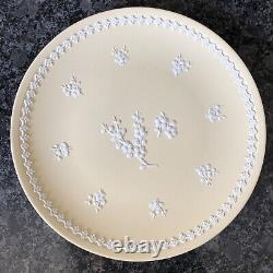 Assiette grande en faïence jaune primevère Jasper Wedgwood Prunus 8'