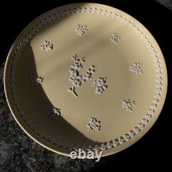 Assiette large de 8' en jaspe Prunus jaune primevère Wedgwood