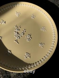 Assiette large de 8' en jaspe Prunus jaune primevère Wedgwood