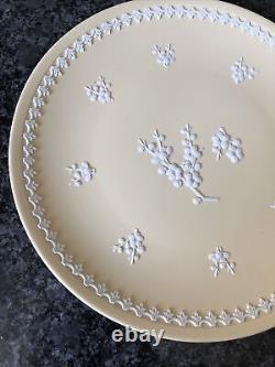Assiette large de 8' en jaspe Prunus jaune primevère Wedgwood