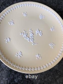 Assiette large de 8' en jaspe Prunus jaune primevère Wedgwood