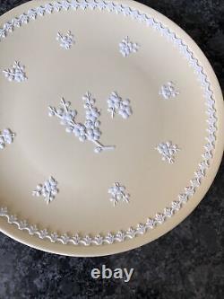 Assiette large de 8' en jaspe Prunus jaune primevère Wedgwood