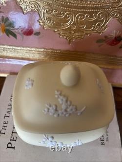Boîte à bibelots Wedgwood jaune primevère, couleur rare, motif Prunus, Jasperware