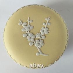Boîte à bijoux en jaspe Wedgwood Prunus primevère