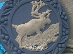 Boîte à médaille suspendue en jaspe bleu Wedgwood, décor mural emballé