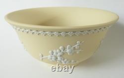 Bol à pied en jaspe Wedgwood jaune primevère Prunus