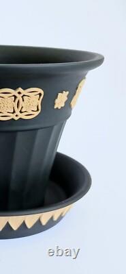 Collection de bibliothèque de jardinière et plateau en jaspe noir et osier Wedgwood