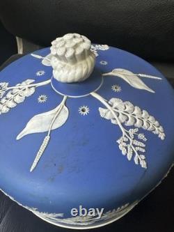 Dôme à fromage en jaspe bleu Wedgwood antique avec couvercle en relief botanique