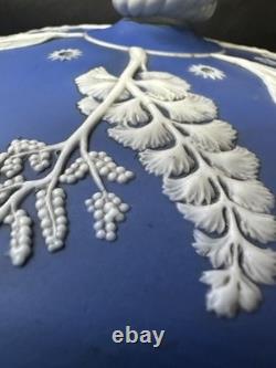 Dôme à fromage en jaspe bleu Wedgwood antique avec couvercle en relief botanique