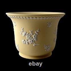 Jardinière en jaspe WEDGWOOD faite à la main jaune primevère '76