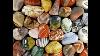 Jasper Stones Large Variety Whimsy Meadows