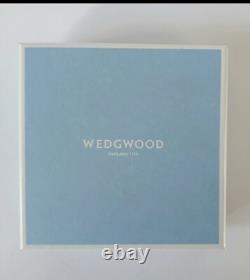 Plateau en jaspe lilas Wedgwood, ETO japonais, boîte de l'année 2020, année du Rat.